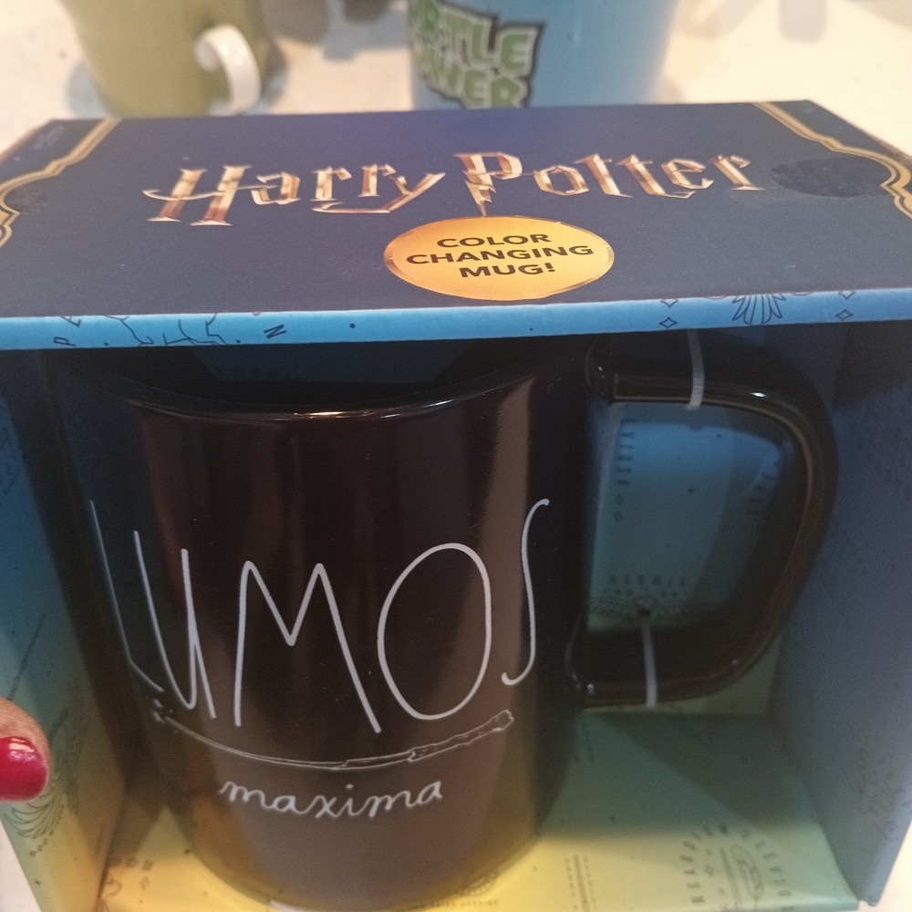 Harry Potter Color Changing Mug - Black